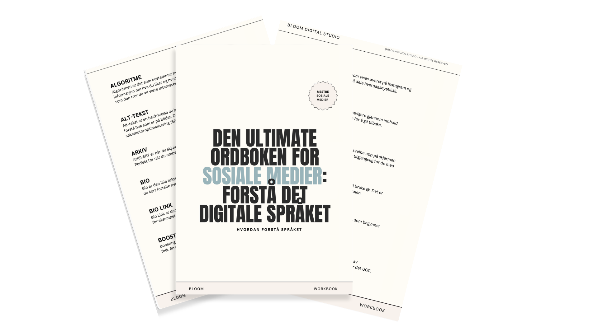 Forside av Ordbok for sosiale medier